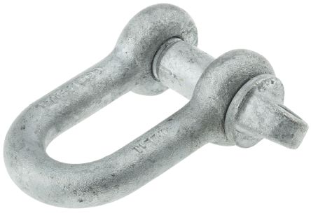 D Shackle hot dipped 6mm