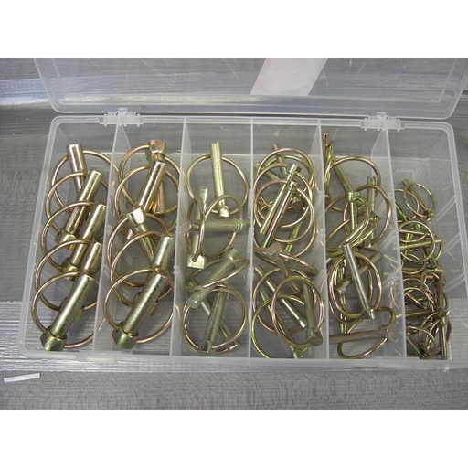 50 pcs Lynch Pin Assortment