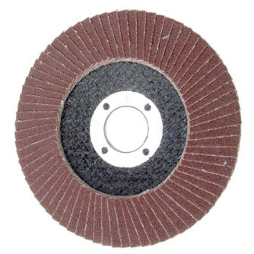 Flap Disc 100mm #60