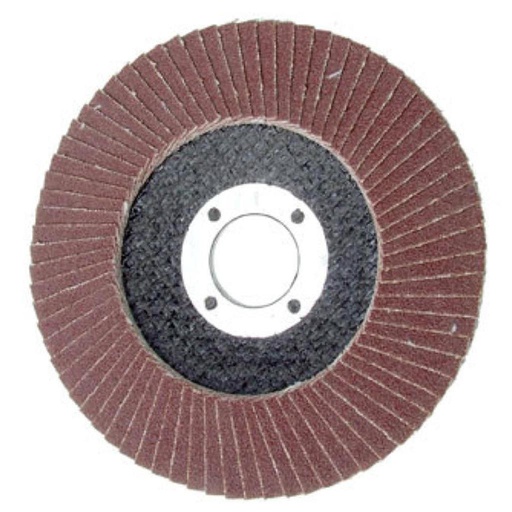 Flap Disc 100mm #80