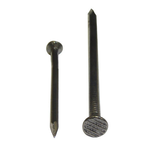 Flat Head Nail Gal 100mm Bag