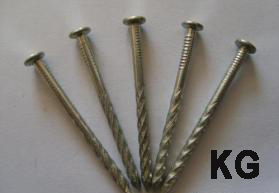 Twisted Nail Gal 50x2.8mm kg