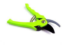green shear