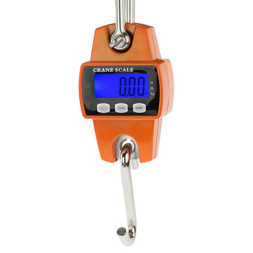 Mini crane scale 300kg