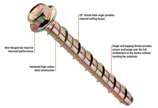 Screw bolt Z/Y 10x100
