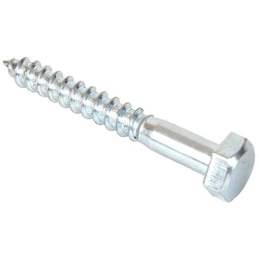 coach screw 10x100mm Kg
