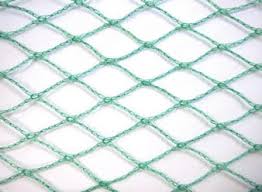 bird net 4x6M