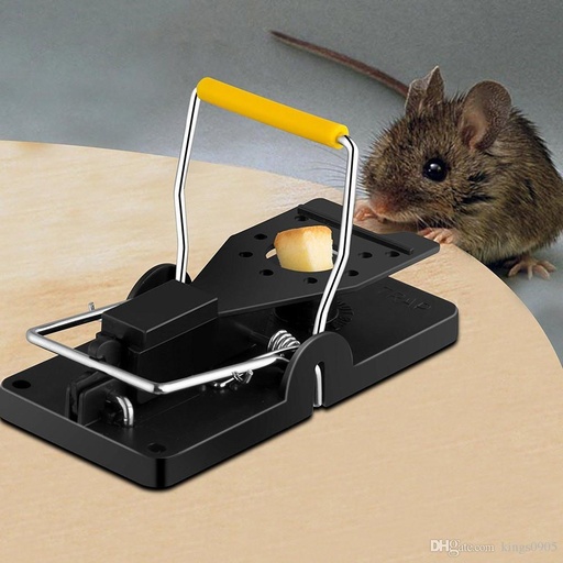 mouse trap S  